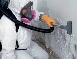 Why You Should Choose Our Mold Remediation Services in Hope, IN